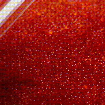 2024marpm9bf3bdbac9b2428817e437e.gif